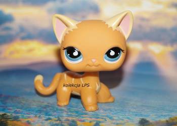 LPS Littlest Pet Shop shorthair puzzle oryginalny kotek pop