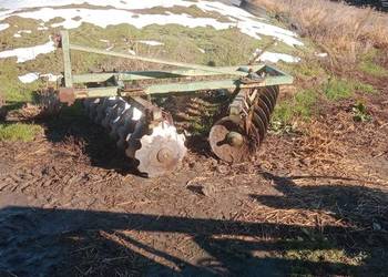 Talerzówka bomet Talerzówka bomet