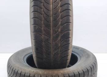 2x OPONA ZIMOWA DĘBICA FRIGO 2 195/65R15 (1819) 5.33  (1919) 5.16