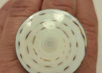 Pierścionek srebrny z muszlą