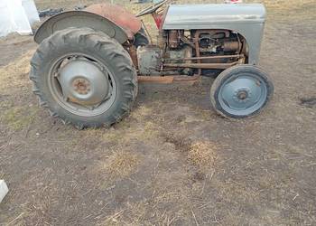 Sprzedam Fergusona TEA 20 w dobrej cenie,