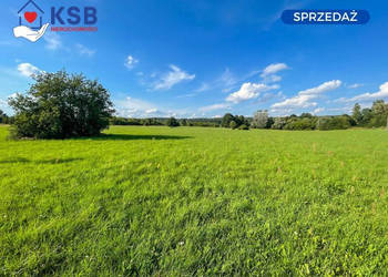 Działka budowalna z WZ - 1,05ha - Michałów