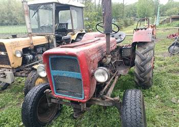 Ursus c28