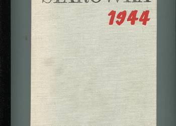 Starówka 1944  - Piotr Stachiewicz