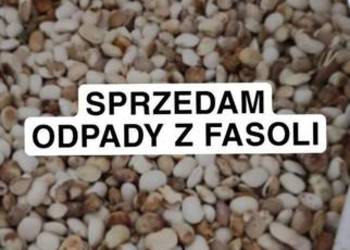 Odpady z Fasoli