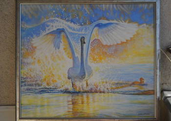 ŁABĘDŹ-olej 70x60