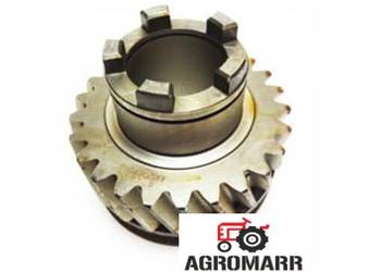 KOŁO PASUJE LANDINI KOŁO PASUJE LANDINI