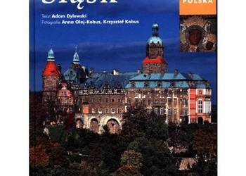 Adam Dylewski – Śląsk