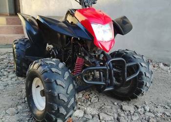 Quad Bashan 200