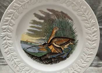 Talerz obiadowy birds od America ilustra. AUDUBONA