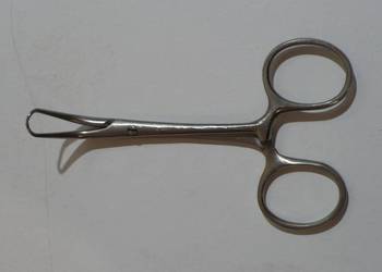Spinak Backhausa 12,5 cm Spinak Backhausa 12,5 cm