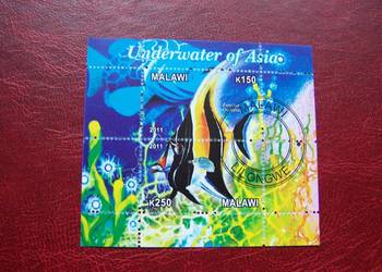 Malawi 2011 Fauna Ryby Malawi 2011 Fauna Ryby