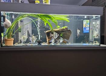 Sprzedam akwarium 180l
