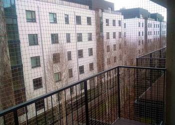 Siatki zabezpieczające balkon dla kota Montaż Bezinwazyjny Warszawa Siatki zabezpieczające balkon dla kota Montaż Bezinwazyjny Warszawa