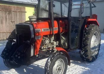 Ciągnik Ursus MF255 Massey Ferguson, zarejestrowany
