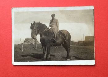 ( 2004 ) Zdjęcie Powojenne ( 2004 ) Zdjęcie Powojenne