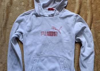 Bluza Puma 152