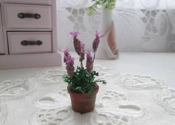Akcesoria do domku dla lalek -kwiat lawendy #miniatury #minikwiaty