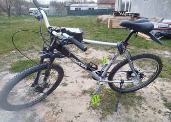 Rower Biria rozmiar L