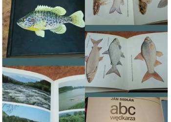 ABC wędkarza wszystko o łowieniu sprzedam