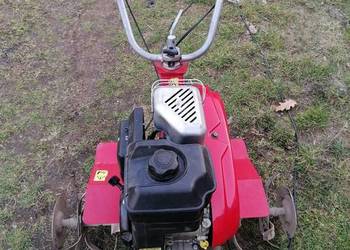 Glebogryzarka sentar 5.5hp