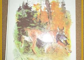 Leśne obrazki - I.Sokołow  Mikitow / przyroda / edukacja / las