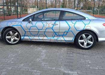 Zadbany Kocur. Peugeot 407 Coupe