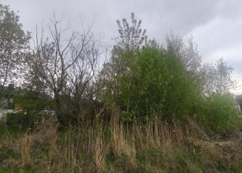 Działka Sosnowiec