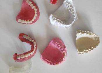 modele zęby szczęki żuchwy dentystyczne edukacyjne do ćwiczeń szkolne pomoc