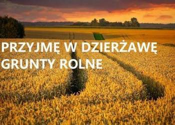 Pole dzierżawa orne