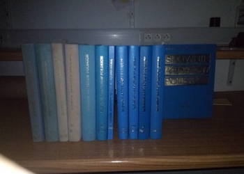 Słownik Artystów Polskich Ossolineum/PAN Instytut Sztuki