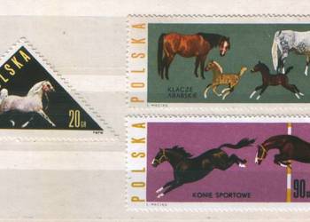 Zn. Fi 1299, 302, 4 ** 1963