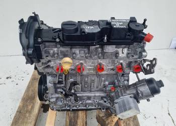 SILNIK PO REGENERACJI Ford Fiesta VII MK7 1.6 TDCI 95KM T3JA
