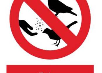 Naklejka BHP Zakaz dokarmiania ptaków ZOZ022