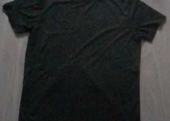 Koszulka męska Endurance