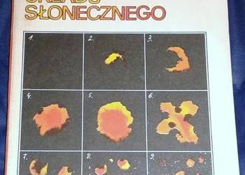 Narodziny i rozwój Układu Słonecznego - Olgierd Wołczek
