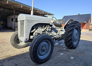 Zabytkowy ciągnik MASSEY-HARRIS-FERGUSON TEF 20 (TEF 439879) DIESEL (1955 …