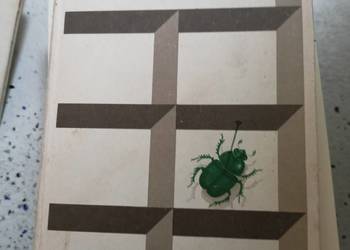 Wielka liczba Szymborska książki wysyłka gratis Trójmiasto Gdańsk Gdynia