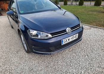 vw golf VII kombi rok 2015 1.6 tdi