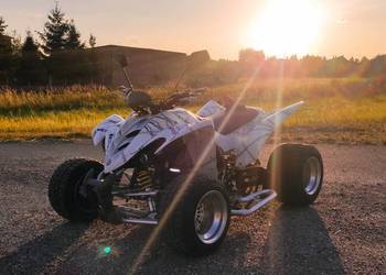 Yamaha Raptor 350 homologacja drogowa