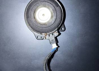 Głośniki Tesla syczki