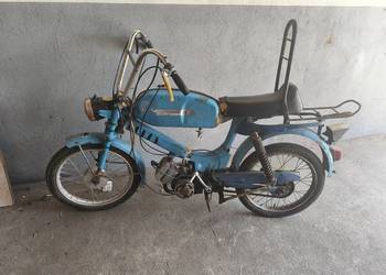 Romet polo