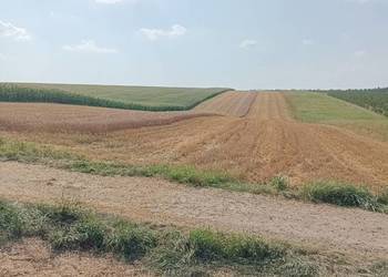 Działka rolna, pole orne 1.69ha Cząstkowice