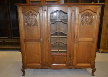 biblioteka /witryna ludwikowska . dąb