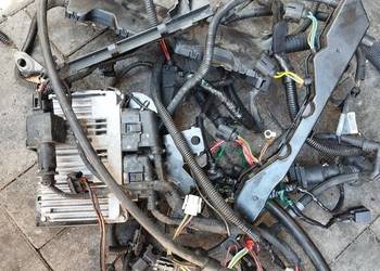 Wiązka silnika n42b20 n42b18 oraz BMW E46