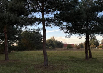 Zielona enklawa pod Wrocławiem | 1000 m² | Prąd | MPZP