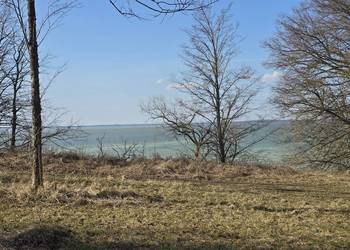 Linia brzegowa Śniardwy