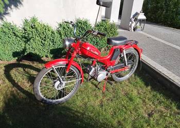 Komar 2352W