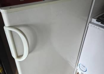 Lodówka z zamrażarką Polar