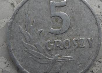 POLSKA-5 GROSZY-1961 r (b.z.)-AL-